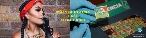 гидропоника Горняк