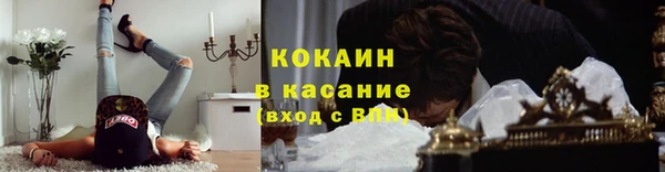 гидропоника Горняк