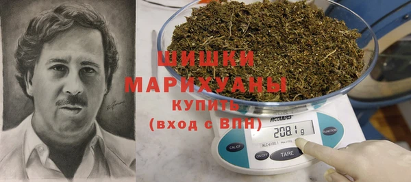 гидропоника Горняк