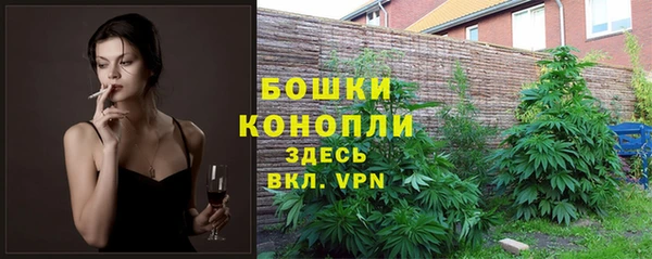 гидропоника Горняк