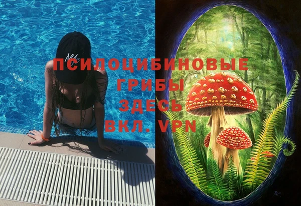 крисы Горнозаводск