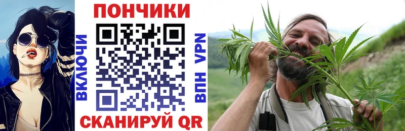 как найти   Нязепетровск  Каннабис OG Kush 